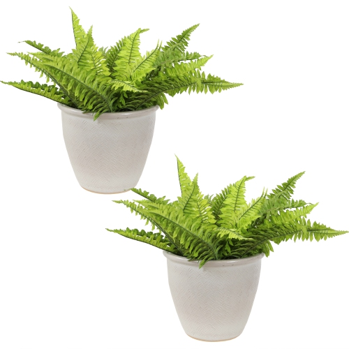 Sunnydaze 11 in Ocean Villa Glazed Ceramic Planter - Pearl - Set of 2