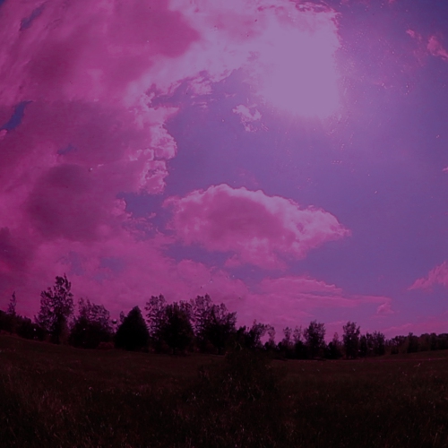 Sunnydaze Merlot Mirrored Surface Gazing Ball Globe - 10 in