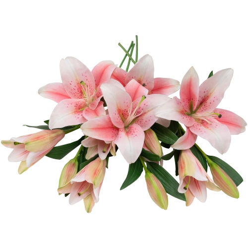 Real Touch™ Pink Artificial Lily Floral Stems, Set of 6 - 38"