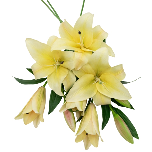 Real Touch™ Yellow Artificial Lily Floral Stems, Set of 5 - 38"