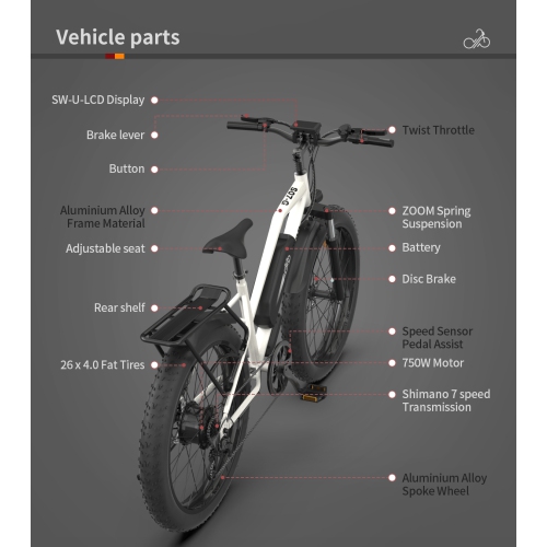 AOSTIRMOTOR Electric bike S07-G,750W Motor 26 Inch Fat Tire 35km Range Electric Mountain Ebike with Rack