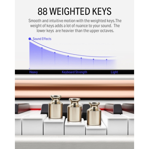 Donner DDP-100 88-Key Weighted Hammer Action Upright Digital Piano for Beginner with Black Two-Seater Piano Bench