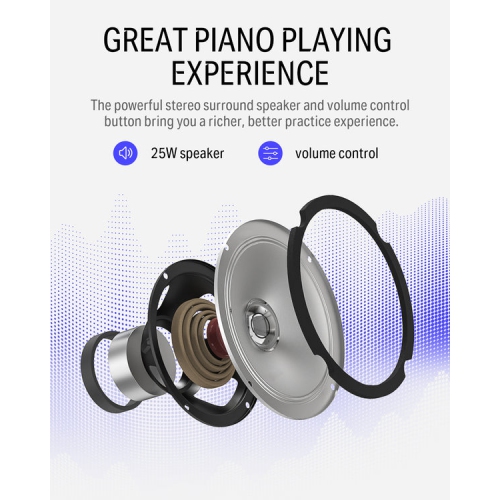 Donner DDP-100 88-Key Weighted Hammer Action Upright Digital Piano for Beginner with Black Two-Seater Piano Bench