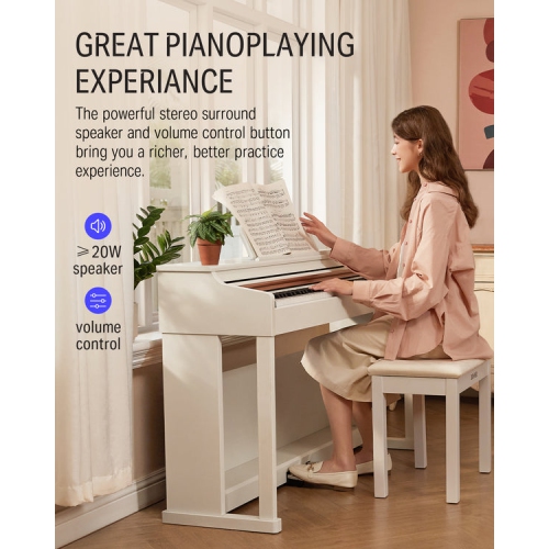 Donner DDP-100 88-Key Weighted Hammer Action Upright Digital Piano for Beginner with Black Two-Seater Piano Bench
