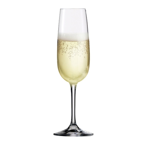 Sensis Plus Vino Nobile Champagne Flute 7.7Oz