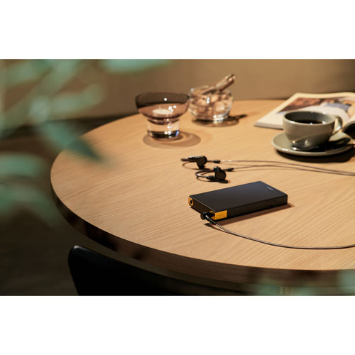 Lecteur de musique numérique de 64 Go Walkman ZX de Sony - Noir