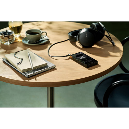 Lecteur de musique numérique de 64 Go Walkman ZX de Sony - Noir