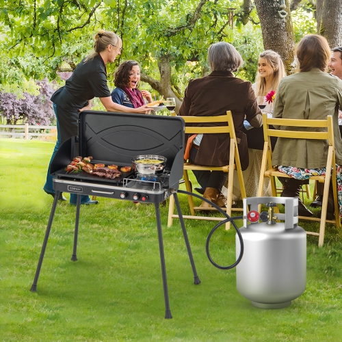Costway 2-in-1 Propane Grill 2 Burner Camping Gas Stove Portable w/ Removable Leg
