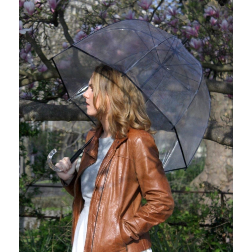 Parapluie avec étoiles transparentes en forme de cage d'oiseau – dôme transparent