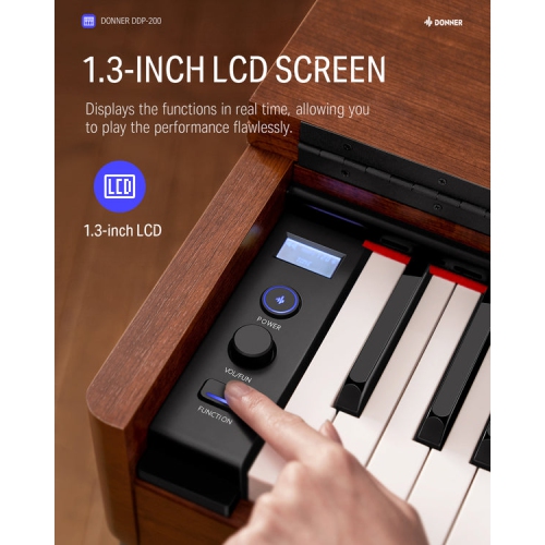 Donner DDP-200 Professional 88 Key Weighted Dynamic Graded Hammer Action Wooden Upright Digital Piano with Bench