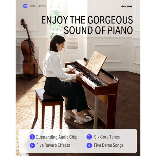 Donner DDP-200 Professional 88 Key Weighted Dynamic Graded Hammer Action Wooden Upright Digital Piano with Bench