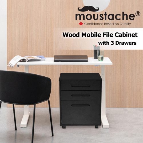 3 Drawers File Cabinet , Under Desk Vertical Rolling Mobile Filing Cabinet with 4 Casters for Letter Sized Documents