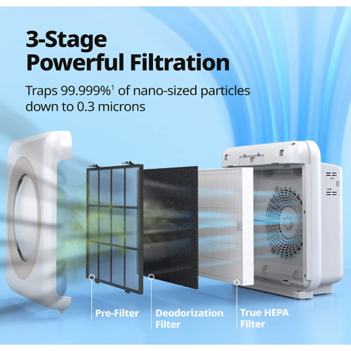 Coway Airmega True HEPA purificateur avec surveillance de la qualité de l'air, automatique, minuterie, indicateur de filtre et mode Eco, 16,8 x 18,3