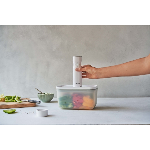 ZWILLING Fresh & Save L Vacuum Box, Plastic, Semitransparent-Grey