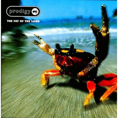 VIDCO-345  Fat Of The Land (Uk Pressing) [2Lp Vinyl]Prodigy Was excited when I saw it was available on Best Buy