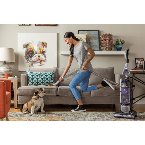 Dirt Devil Power Max Pet UD70167P Bagless Upright Vacuum for Pet Hair with Spin3Pro Brushroll, Endura Filtration, TurboClaw Tool by DIRT DEVIL - Refurbished condition - Image 3