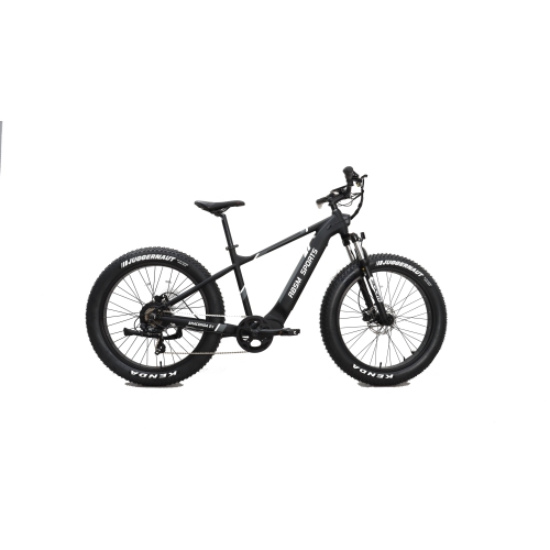 RBSM SPORTS Anaconda 2.1 Electric Fat Tire Bike