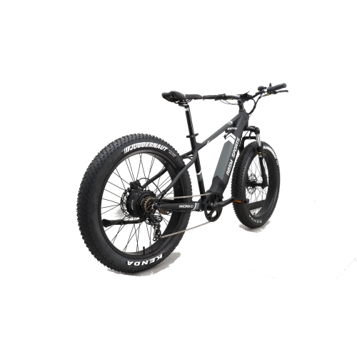 RBSM SPORTS Anaconda 2.1 Electric Fat Tire Bike