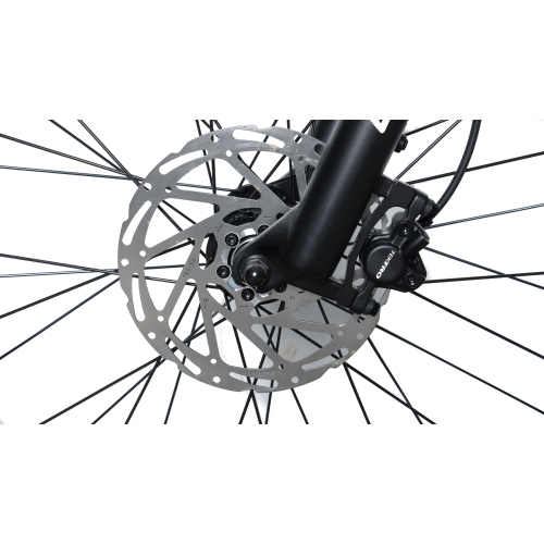 RBSM SPORTS Anaconda 2.1 Electric Fat Tire Bike