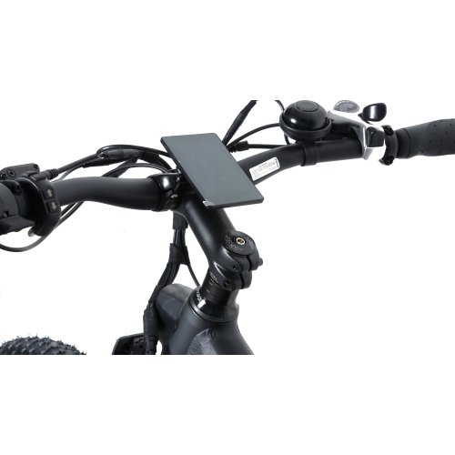 RBSM SPORTS Anaconda 2.1 Electric Fat Tire Bike