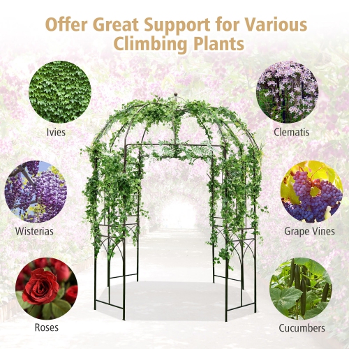Gymax Birdcage Shape Garden Arbor Pergola Climbing Plants Stand Rack for Wedding Party