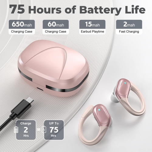 Wireless Earbuds, 75Hrs Playtime Bluetooth 5.1 Headphones, True Wireless Earphones with Digital Display & CVC 8.0 Noise Cancelling, Waterproof
