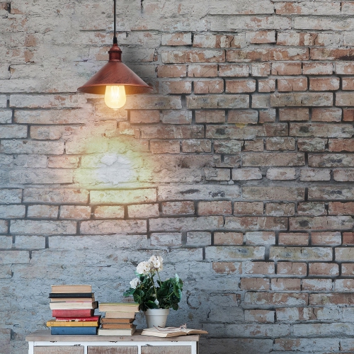 Plafonnier suspendu rétro rouge rustique de RelicElectrical