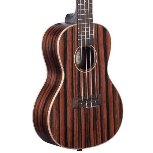 Kala Striped Ebony Concert Ukulele
