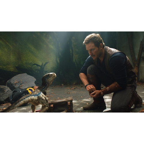 Jurassic World: Fallen Kingdom [Blu-ray]