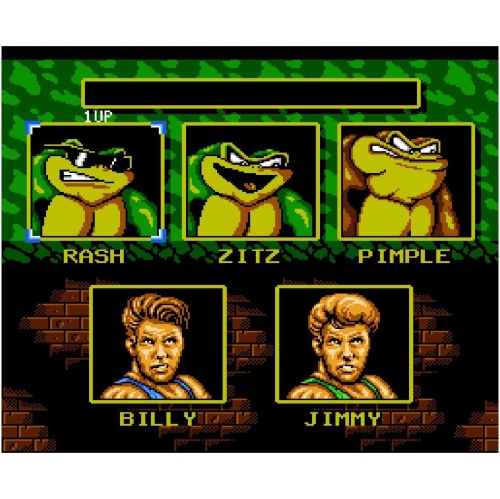 Battletoads & Double Dragon - Limited Run Games [NES]