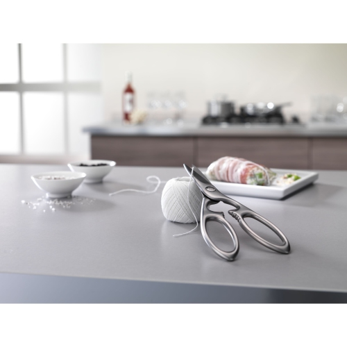 ZWILLING TWIN Select 20 cm, ciseaux tout usage, argent