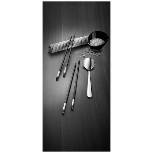ZWILLING Chopsticks 10 Piece Chopstick Set