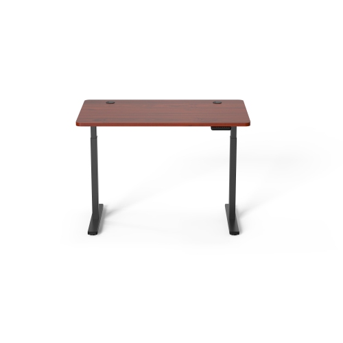 Ergoloop Walnut - Black Dual Motor Electric Sit Stand Desk 47" x 29.5" Top with 2 segment base