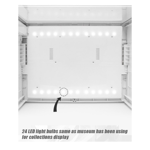 GOTO Clear Display Case with LED Lighting for Sneakers, Collectibles, Figures, Jewelry - Stackable Collection Crate Box-Black