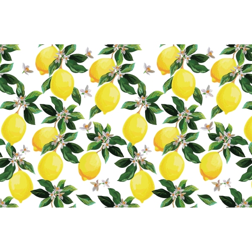 MAISON CONCEPTS  Plastic Placemat Lemon Branches - Set Of 12