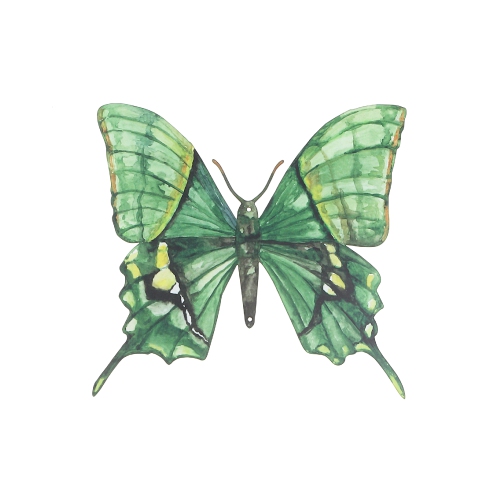 Maison Concepts Metal Butterfly Wall Decor Green