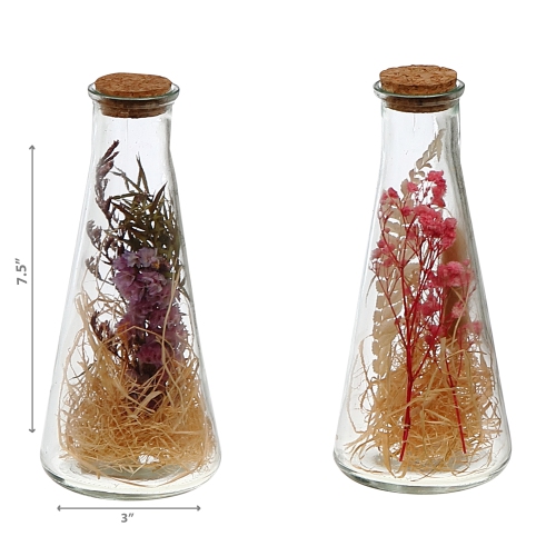 Maison Concepts Dried Floral Arrangement In Glass Triangular Tube Asstd - Set of 2