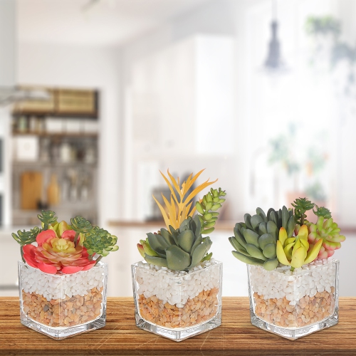 Maison Concepts Artificial Succulents In Square Glass Planter Asstd - Set of 3