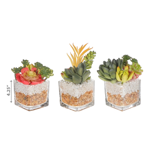 Maison Concepts Artificial Succulents In Square Glass Planter Asstd - Set of 3
