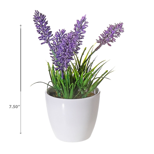 Maison Concepts Artificial Lavender In Plastic Pot - Set of 2