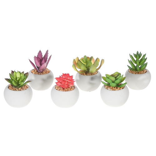 MAISON CONCEPTS  Artificial Succulents In Round Cement Pot Asstd - Set Of 6