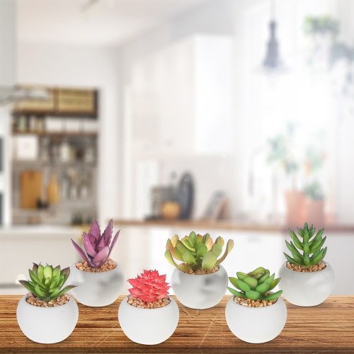 Maison Concepts Artificial Succulents In Round Cement Pot Asstd - Set of 6