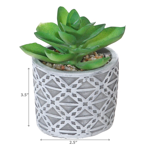 Maison Concepts Artificial Succulent In Round Cement Pot Asstd - Set of 2
