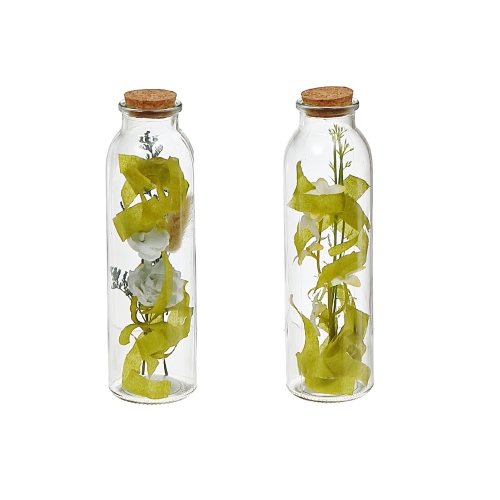 Maison Concepts Dried Floral Arrangement In Glass Tube Asstd - Set of 2