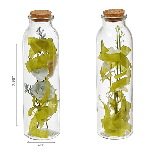 Maison Concepts Dried Floral Arrangement In Glass Tube Asstd - Set of 2