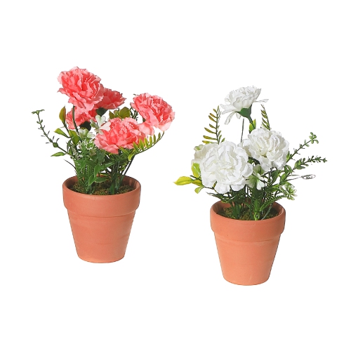 Maison Concepts Artificial Carnation In Clay Pot Asstd - Set of 2