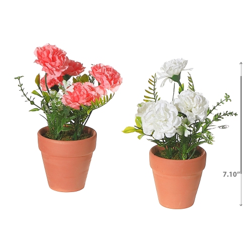 Maison Concepts Artificial Carnation In Clay Pot Asstd - Set of 2