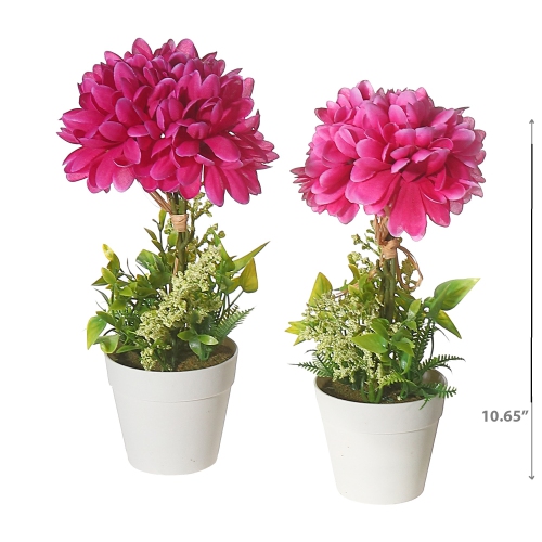 Maison Concepts Artificial Chrysanthemum In Plastic Pot Asstd - Set of 2