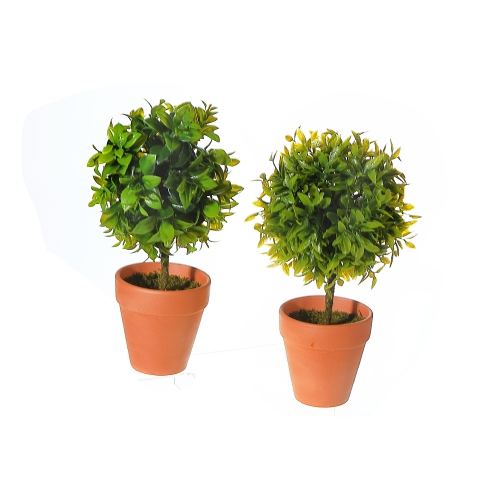 MAISON CONCEPTS  Artificial Topiary Ball Plant In Clay Pot Asstd - Set Of 2