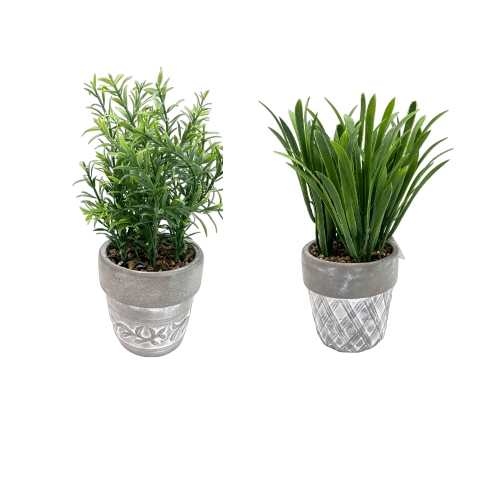 MAISON CONCEPTS  Artificial Plants In Ceramic Pot Asstd - Set Of 2 In Gray